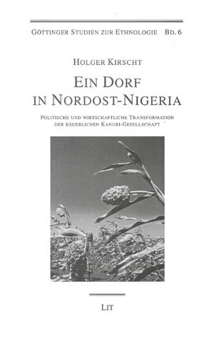 Ein Dorf in Nordost-Nigeria